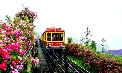 Chuyến phiêu lưu giữa núi rừng Tây Bắc với tàu hỏa Mường Hoa