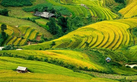 Vẻ đẹp mê hồn của "Tứ đại đỉnh đèo" huyền thoại Tây Bắc