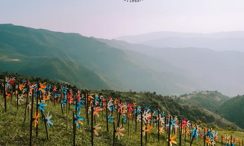 Khám phá thung lũng hoa trên đèo Pha Đin
