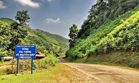 Di tích lịch sử khu rừng bản Nhọt