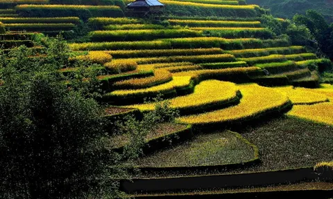 Loạt ảnh Tây Bắc đẹp như tranh vẽ khiến bạn ngây ngất