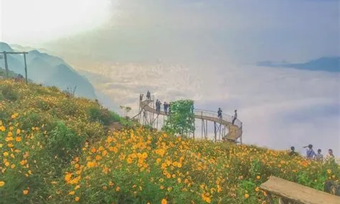 Khám phá Tam Đảo – Thị trấn sương mù bồng bềnh trong mây