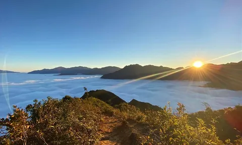 Mê mẩn với “Thiên đường mây nơi hạ giới” trên đỉnh Tà Chì Nhù