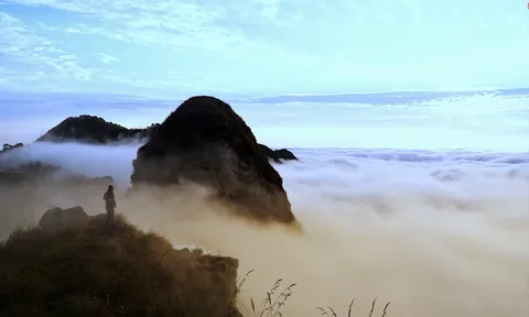 'Thiên đường mây' trên vùng Tây Bắc