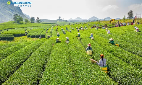 Bản Khá làm du lịch cộng đồng