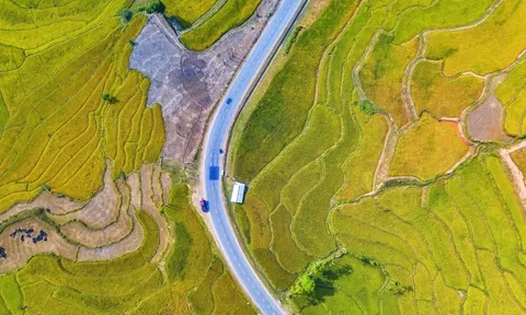 Một tầm nhìn, đa giá trị