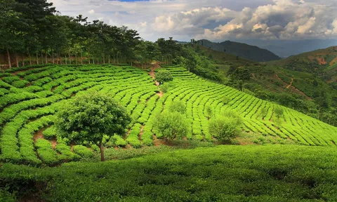 Suối Giàng chú trọng phát triển du lịch bền vững