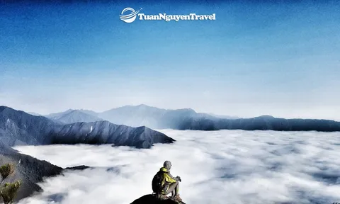 Biển mây ôm trọn 'sống lưng khủng long' Tà Xùa nhìn từ flycam