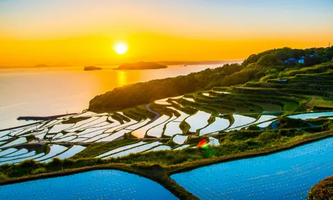 Sa Pa và những nơi có ruộng bậc thang đẹp nổi tiếng