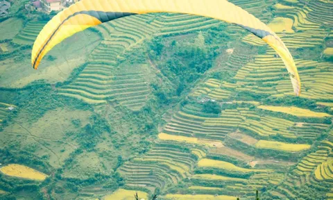 Lịch trình ngắm mùa vàng Mù Cang Chải