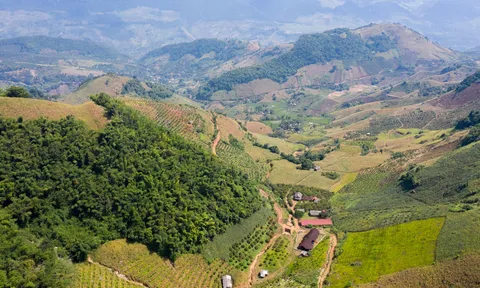 Khai thác tiềm năng du lịch rừng Noong Cốp