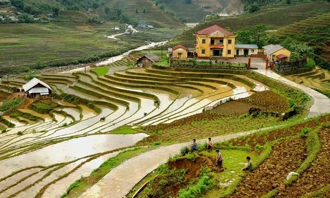 Cát Lình - Bức tranh đa sắc