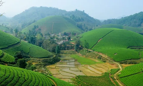 Hành trình tuổi trẻ cùng những cảnh đẹp Yên Bái
