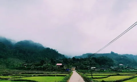 Lũng Vân – Nóc nhà xứ Mường hùng vĩ và ảo diệu