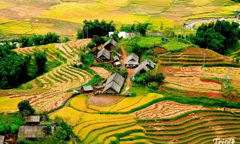 Tinh hoa Tây Bắc kết nối khát vọng xanh