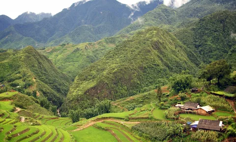 Sapa sương mù bao phủ