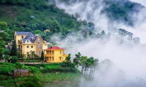 Tam Đảo đón nhận giải thưởng quốc tế "Thị trấn điểm đến ấn tượng hàng đầu thế giới năm 2022"