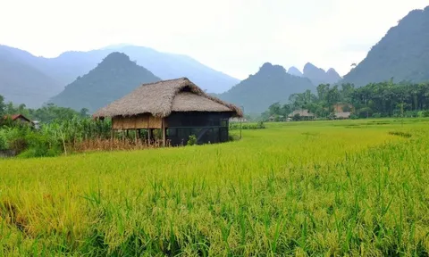 Trải nghiệm sắc màu "đất Ngọc”