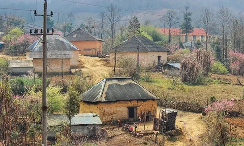 Phát triển du lịch từ di sản văn hóa