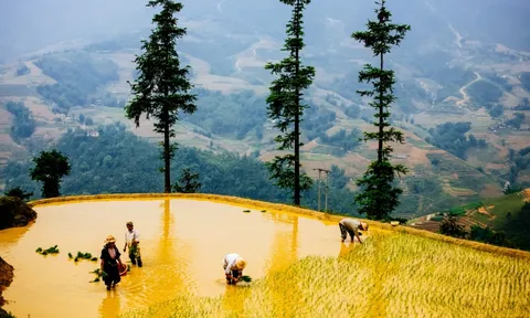 Tăng cường kết nối để phát triển du lịch Lào Cai