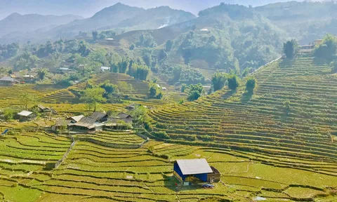 Những điểm đến được du khách Việt tìm kiếm nhiều nhất dịp Tết 2023