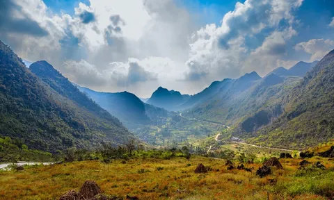 Tinh khôi mùa hoa mận trên cao nguyên Bắc Hà