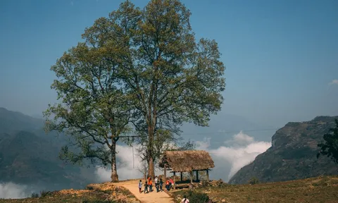 Giấc mơ vùng đất mờ sương