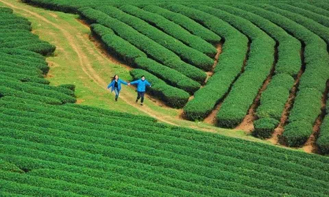 Huyện Tân Lạc khai thác tiềm năng, phát triển du lịch các xã vùng cao