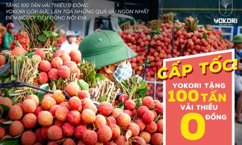 Thưởng thức vải thiều chính gốc 0 VNĐ, thương hiệu tặng vải cho người tiêu dùng thưởng thức đặc sản Việt Nam