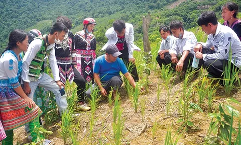 Tiếng hô lay động non ngàn