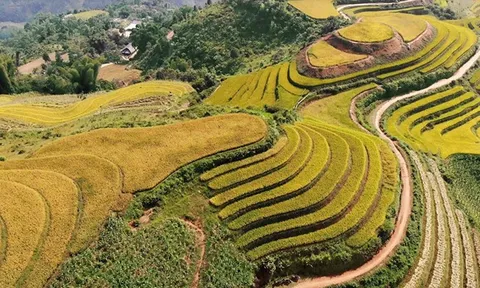 Phong Dụ Thượng khơi nguồn tiềm năng du lịch