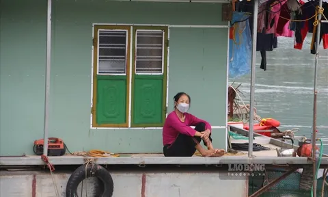 Ước vọng lên bờ của người dân vạn chài giữa lòng TP Hòa Bình