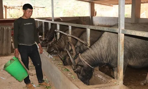 Giàng A Hồng dám nghĩ, dám làm