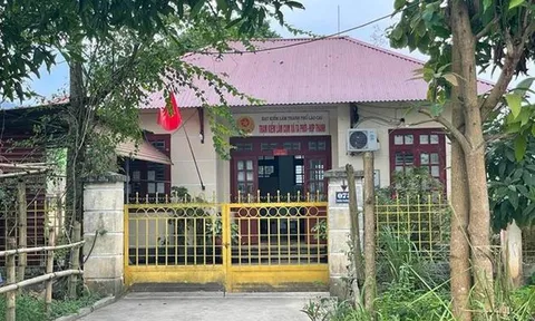 Đề nghị xử lý trách nhiệm Chi cục Kiểm lâm Lào Cai