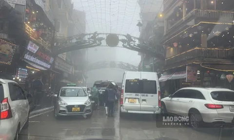 Đón gần trăm nghìn lượt du khách, tỉnh Lào Cai thu về hàng trăm tỉ đồng