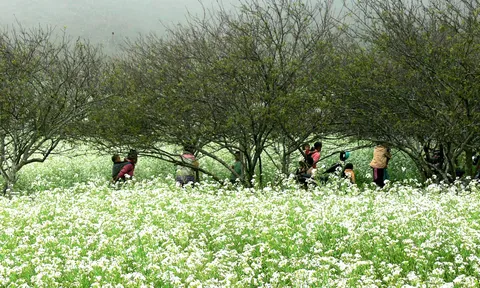 Tây Bắc: Mỗi tỉnh một “đặc sản” du lịch