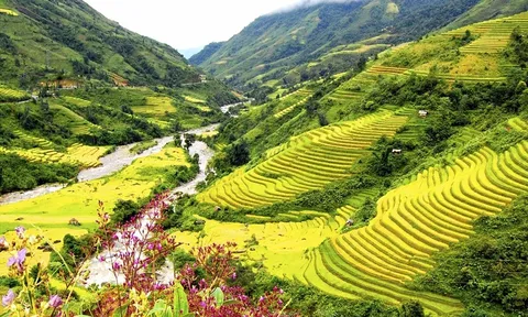 Chuẩn bị công bố thành lập Sở Du lịch tỉnh Lào Cai