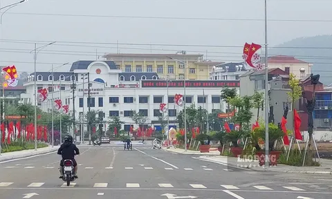 Bắt Giám đốc Trung tâm Quản lý đất đai TP.Điện Biên Phủ