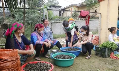 Phiên chợ “không mặc cả” của người Mông Yên Bái hút khách dịp nghỉ lễ