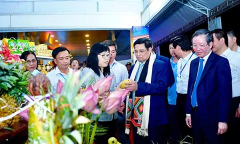 Khai mạc Festival trái cây và sản phẩm OCOP Việt Nam 2022
