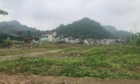Lấy đất Công ty này giao Công ty khác tại Sơn La: Vừa được cấp Giấy chứng nhận đầu tư 1 ngày đã được giao đất
