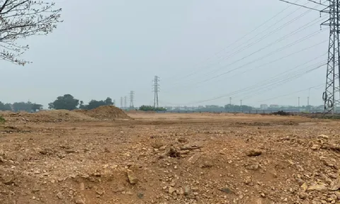 Hòa Bình: Dự án Khu đô thị mới Trung Minh A ồ ạt san lấp khi chưa được giao đất