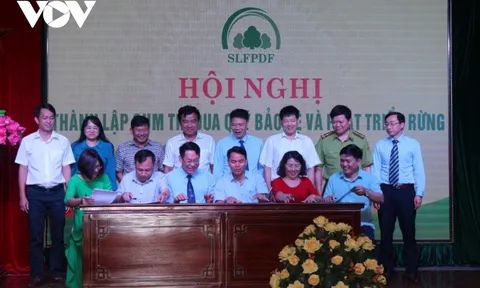 Chi trả hơn 1.000 tỷ đồng tiền dịch vụ môi trường rừng tại 6 tỉnh Tây Bắc