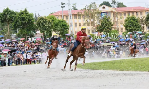 Hấp dẫn vòng loại Giải đua Vó ngựa Cao nguyên trắng lần thứ 15