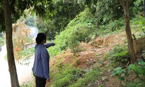 Chủ tịch UBND TP. Lào Cai bị xử thua kiện