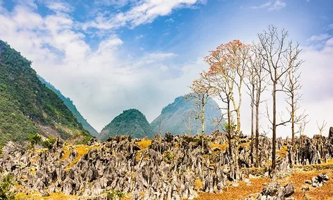 Tủa Chùa - Cô sơn nữ ẩn hiện giữa mây ngàn Tây Bắc
