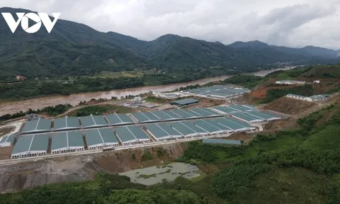 Người dân Văn Yên, Yên Bái tố trại lợn phát tán mùi hôi thối