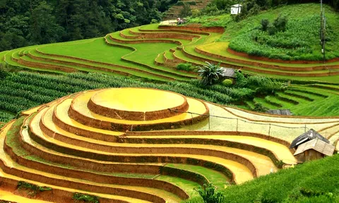 Bức tranh huyền ảo trên những thửa ruộng bậc thang Mù Cang Chải mùa đổ nước