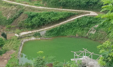 TP Hòa Bình (tỉnh Hòa Bình): Công trình vi phạm đất rừng tại đỉnh dốc Cun vẫn 'y nguyên'