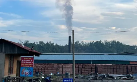 Công ty gạch tuynel hoạt động không phép ở Điện Biên: Chính quyền cơ sở có 'nhắm mắt', 'bịt tai'?